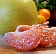 Citrus maxima Pomelo Seeds
