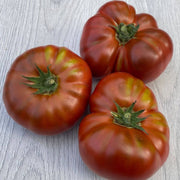Dwarf Chocolate Tomato Seeds