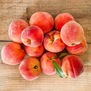 Elberta Peach Seeds