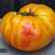 Gold Medal Yellow Tomato Seeds