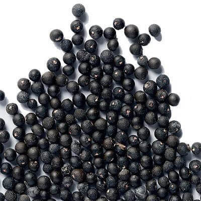 Shatavari Seeds - Herbal Plant For Home Gardens Seeds