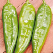 Capsicum annuum Chili Pepper Seeds