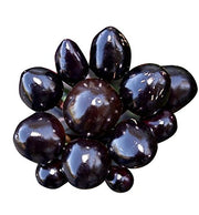 Black Hawk Ornamental Pepper Seeds