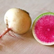 Crisp Red Watermelon Radish Seeds