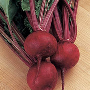 Rare Vulgaris Organic Beetroot Seeds