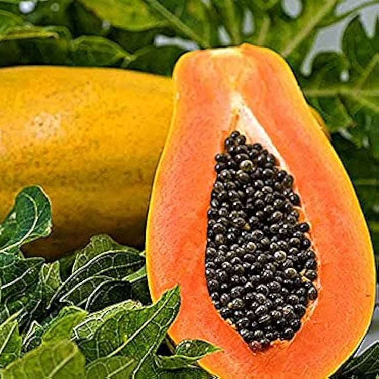 Pusa Delicious Papaya Seeds