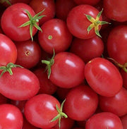 Porter Tomato Seeds