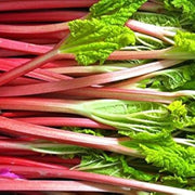 Rhubarb Seeds - For Home Gardens Seeds