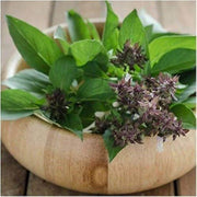 Clove Ocimum Gratissimum Basil Seeds, Herbal