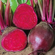 Dark Pink Beetroot Seeds