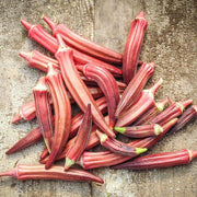 Orange Okra Seeds