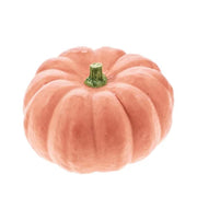 Pink Pumpkin Seeds