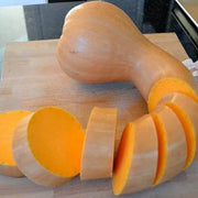 Neck Pumpkin Seeds