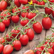 Red Juliet Tomato Seeds