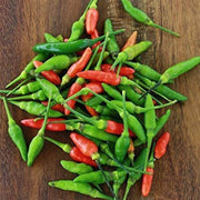 Kanthari Chilli Pepper Seeds