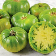Green Giant Tomato Seeds