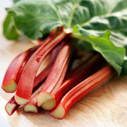 Rhubarb Seeds - For Home Gardens Seeds