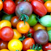 Rainbow Cherry Tomato Seeds