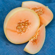 Honey Dew Melon Seeds