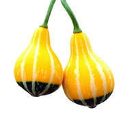 Orange Black Ornamental Gourd Seeds