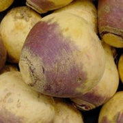 Brown Purple Rutabaga Seeds