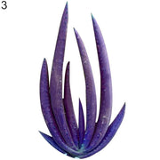 Dark Violet Aloe Seeds, Herbal