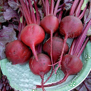 Red Beetroot Seeds