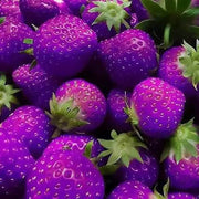 Purple Strawberry Seeds