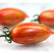 Pink Tiger Tomato Seeds