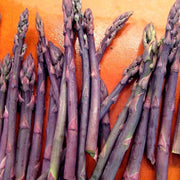 Purple Asparagus Seeds