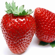 Eversweet Everbearing Strawberry Seeds
