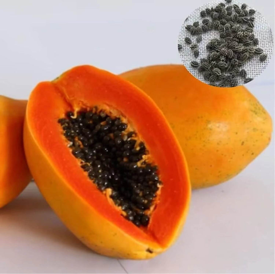 Eksotika Sweet Papaya Seeds