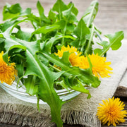 French Dandelion Seeds