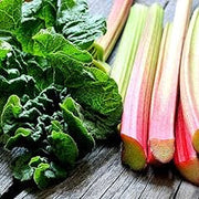 Rhubarb Seeds - For Home Gardens Seeds