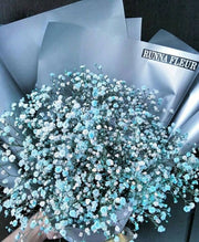 light Blue Gypsophila Seeds