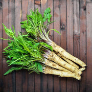 Horseradish Seeds, Heirloom