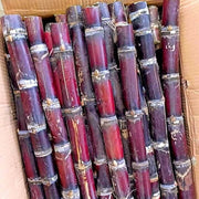 Red Sugarcane Seeds