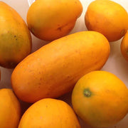 Quitoense Orange Cucumber Seeds