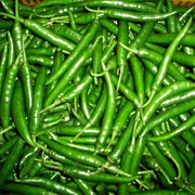 Chilli Seeds - for Home Gardens Seeds