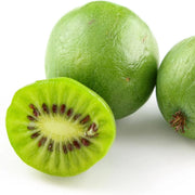 Hardy Kiwi Vine Actinidia arguta Seeds