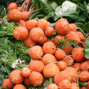 Parisian Carrot Seeds