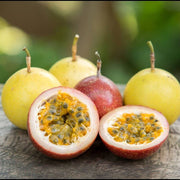 Exotic Tropical Passion Seeds