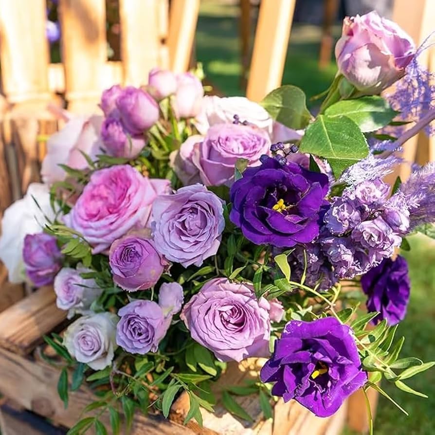 Bright and Bold Lisianthus Seeds