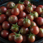 Light Brown Tomato Seeds