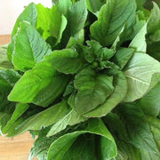 Green Pointed Leaf Amaranthus Seeds