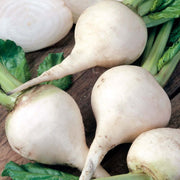 White Beetroot Seeds