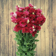Red Wildflower Lisianthus Seeds