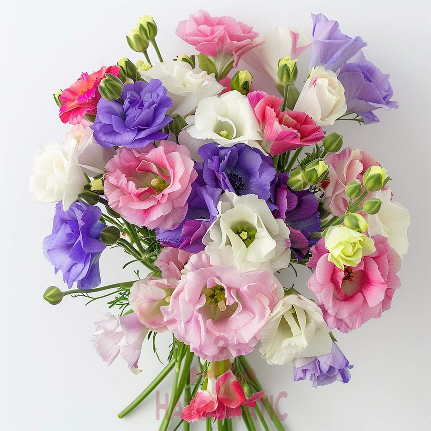 Colorful Mix Lisianthus Seeds