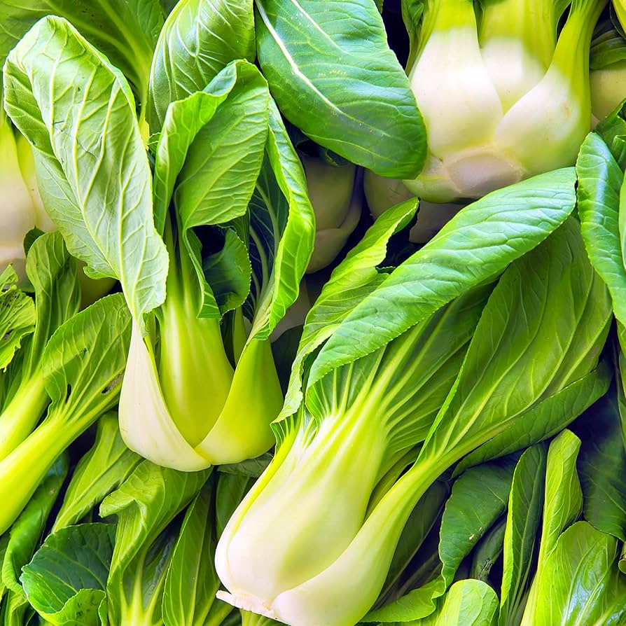 Pak Choi Seeds, Green