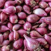 Shallots Onion Seeds